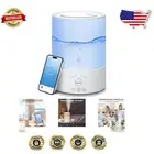 Aroma Diffuser & Night Light Humidifier for Large Rooms - Alexa & App Controlled