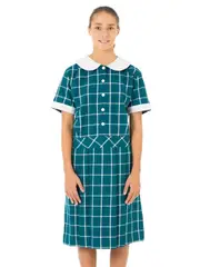 Teal Check Dress