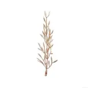 25 GOLD 6" Mini Metallic Leaves Artificial Fern STEMS VASE FILLERS Centerpieces