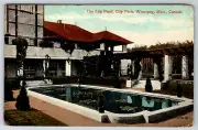 c1910s Lily Pond City Park Winnipeg Manitoba Canada Antique Postcard
