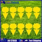 AU 10pcs Fungus Gnat Traps Non-Toxic Dual-Sided Yellow Sticky Fly Traps for Indo