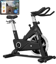 Lifespan Fitness SM800 Commercial Spin Bike, Black