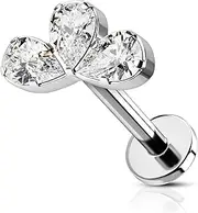 [COCHARM] 16G G23 Titanium Hypoallergenic Helix Cartilage Tragus Piercing Jewellery Flat Back Dog Paw Print Cartilage Labret Bar 6mm 8mm Conch Bar