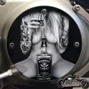 1994-2003 HARLEY DAVIDSON SPORTSTER 883 1200 DERBY CLUTCH COVER - Whiskey Girl