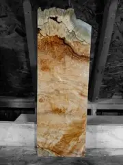 XL Wicked SPALTED AMBROSIA/Birdseye MAPLE Burl wood Blank, Turning/EPOXY Wood