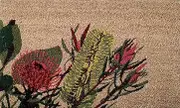 Solemate Doormats Aussie Flowers PVC Backed Coir Doormat, 45 x 75 cm