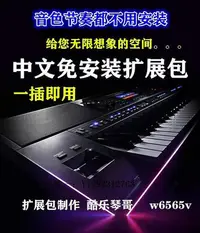 在飛比找Yahoo!奇摩拍賣優惠-電子琴雅馬哈電子琴中文音色節奏包s650670770975x