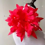 Fascinating Millinery Feathers Flower Stylish Coloured Feathers Craft