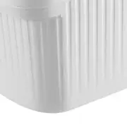 Rice Container Plastic Large Capacity Airtight With Lid Rice Bin For Grain Ce