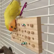 Hanging Parrot Toy Parakeet Toys Bird Chew Plaything Boredom Buster