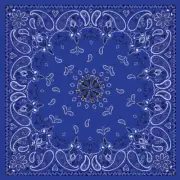 Zan Navy Paisley Bandanna OSFM B002