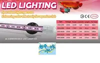 在飛比找Yahoo奇摩購物中心優惠-[ 台中水族 ]台灣HH-LR150-惠弘 LED水中燈-龍