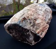 5 Lb 7 Oz Natural Rare Opalized Mirror Polished Big Petrified Wood Uv Reactive