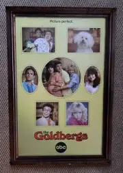 The Goldbergs - TV Show [Promo Poster] 27x40. High Gloss. ABC / Hulu