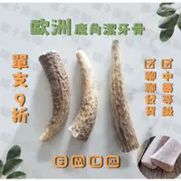 在飛比找蝦皮購物優惠-【驢子寵物】❗單支9折 ❗狗狗鹿角 中藥食用級鹿角 無尖角 