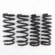 RS-R Down Suspension Lowering Springs for 13 - 15 Lexus GS350 RWD Chassis GRL10 (for: Lexus)