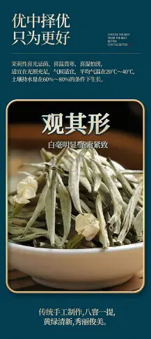 新茶廣西橫縣茉莉花茶葉特級白毫銀針王綠茶濃香散罐裝300克