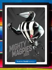 Framed 2022 COLLINGWOOD MAGPIES AFL Poster - 45cm x 32cm x 3cm