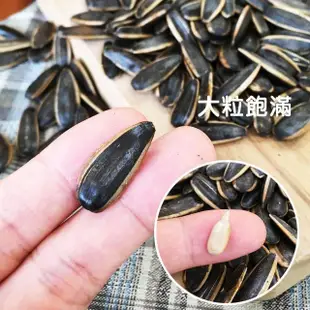 【盛香珍】豐葵香瓜子禮桶700g/桶(焦糖風味/桂圓紅棗風味-2種可選)