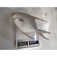 在飛比找蝦皮購物優惠-新鮮海水養殖檸檬金鯧魚🐟