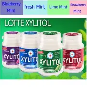 x12 LOTTE XYLITOL SUGAR FREE CHEWING GUM LIME MINT & MIXS FLAVOR CHOOSE YOU LIKE