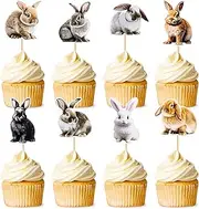 iMagitek 48 Pcs Rabbit Cupcake Toppers Bunny Cupcake Picks Easter Rabbit Cake Toppers for Easter Baby Shower Birthday