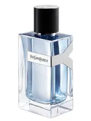 Yves saint laurent Y - EDT - Volume: 100 ml