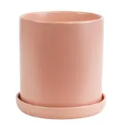 Sill & Sage Cylinder Pots w/ Saucers Home Decor Indoor Pot Blush Large 18cm