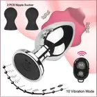 Metal Dildo Anal Butt Plug Vibrator Prostate Massager USB Sex Toys For Men Women