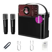 Bluetooth 5.3 Karaoke Machine With 2 Wireless Microphones Bluetooth Karaoke Speaker-Black