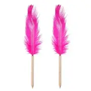Feather Ballpoint Pens Bulk, 2Pcs Writing Pens Style 1, Rose Red/Rose Gold
