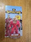 WWE Superstars Ric Flair W/ Red Robe