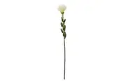 Hill Interiors Pincushion Protea Spray Artificial Flower (Cream) (One Size)