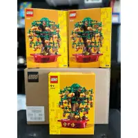 在飛比找蝦皮購物優惠-「奇奇蒂蒂」Lego 樂高 40648 金錢樹 搖錢樹 Mo