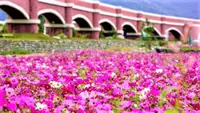 在飛比找雄獅旅遊優惠-火車旅遊-台東和運租車、精選市中心住宿(花蓮出發)