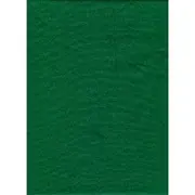 ProMaster Backdrop Poly Cotton 10'x12' Solid - Chroma Green