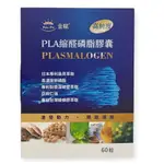 PLA縮醛磷脂膠囊 60粒/盒 PPLS EPA