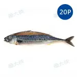 薄鹽漬挪威鯖魚(18~20尾/6KG/件)#MK1820P-1C1A【魚大俠】FH146