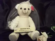 Bride Bear Signature Autograph Bear Hens Night Wedding Bridal Shower Guest Book