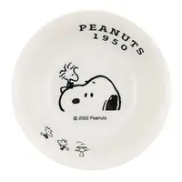 在飛比找momo購物網優惠-【Kamio】SNOOPY 史努比 陶瓷餐盤 陶瓷盤子 16