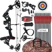 Archery Compound Bow Set 29" Carbon Arrow 30-70lbs Adjustable Pulley Bow