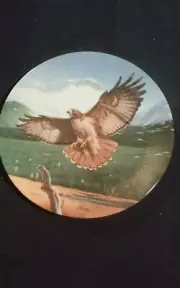 Knowles collector plate "THE RED-TAILED HAWK"