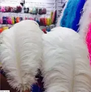50 Pcs White 28-30 inches Ostrich Feather Plume Wing Horse Feathers