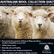 Alastair's Deluxe Australian Wool Duvet | Doona Quilt | 500gsm Filling | Single