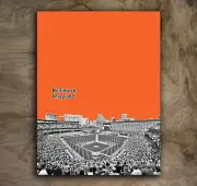Baltimore Orioles Sports Poster MLB Art Print Rare Hot New 8x10"