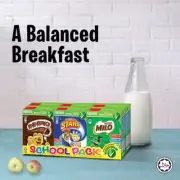 Nestle | Mix School Pack Whole Grain Cereal (6 box × 25g)
