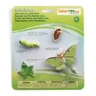 Safari Ltd Safariology Life Cycle Of A Luna Moth Figures 663516 NEW IN STOCK