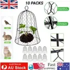 10PC 13" x 16" Height Garden Chicken Wire Cloche Plant Cover Plant Protector AU