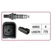 RAE Oxygen Sensor - OX358