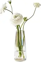 Supercap - Glass Vase for Table Centerpieces, Modern Crystal Flower Vase, Tall Clear Glass Vases for Home, Office, Entryway Decorative, 8.66 inch (Clear, Small)